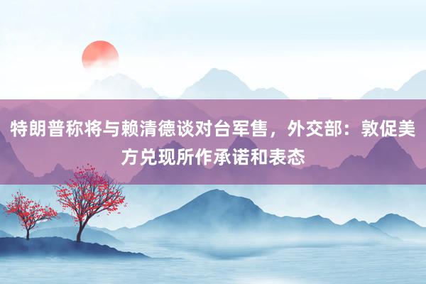 特朗普称将与赖清德谈对台军售,外交部:敦促美方兑现所作承诺和表态