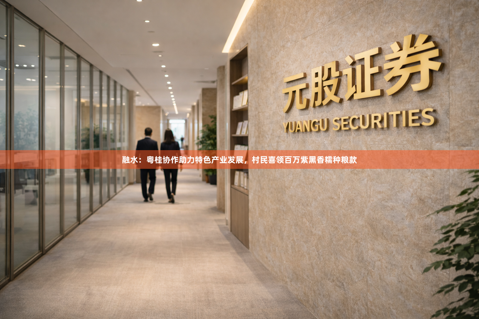 融水：粤桂协作助力特色产业发展，村民喜领百万紫黑香糯种粮款