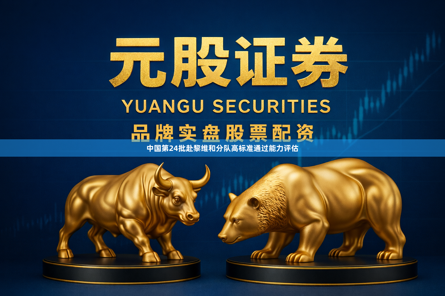 中国第24批赴黎维和分队高标准通过能力评估