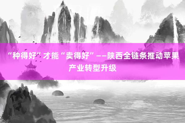 “种得好”才能“卖得好”——陕西全链条推动苹果产业转型升级