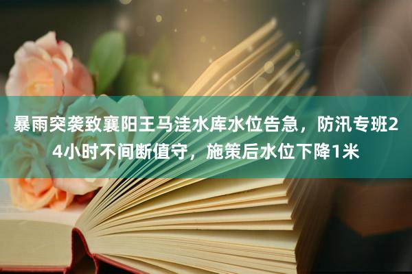 暴雨突袭致襄阳王马洼水库水位告急，防汛专班24小时不间断值守，施策后水位下降1米
