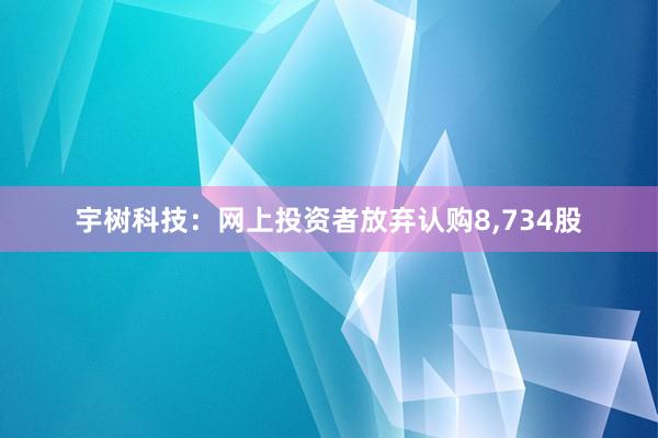 宇树科技：网上投资者放弃认购8,734股