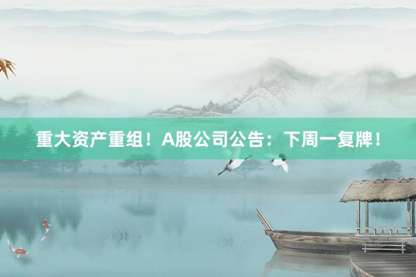 重大资产重组！A股公司公告：下周一复牌！