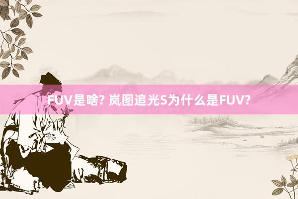 FUV是啥? 岚图追光S为什么是FUV?