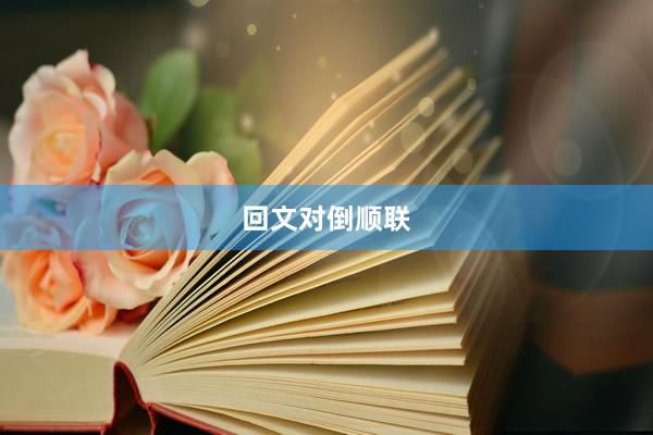 回文对倒顺联