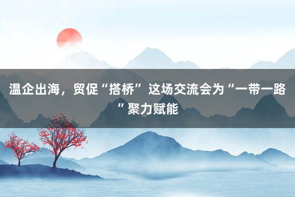 温企出海，贸促“搭桥” 这场交流会为“一带一路”聚力赋能