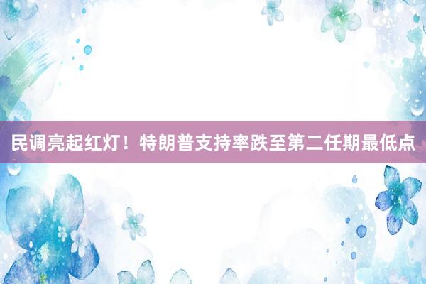 民调亮起红灯！特朗普支持率跌至第二任期最低点