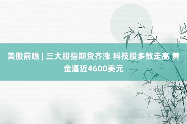 美股前瞻 | 三大股指期货齐涨 科技股多数走高 黄金逼近4600美元