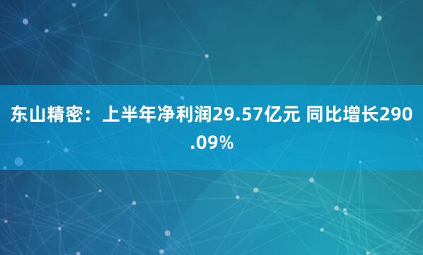 东山精密：上半年净利润29.57亿元 同比增长290.09%