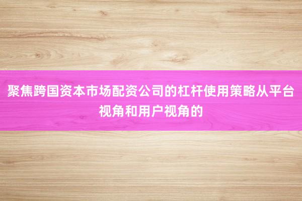 聚焦跨国资本市场配资公司的杠杆使用策略从平台视角和用户视角的