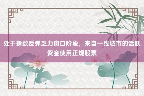 处于指数反弹乏力窗口阶段，来自一线城市的活跃资金使用正规股票