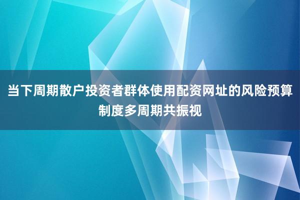 当下周期散户投资者群体使用配资网址的风险预算制度多周期共振视