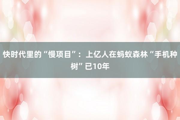 快时代里的“慢项目”：上亿人在蚂蚁森林“手机种树”已10年