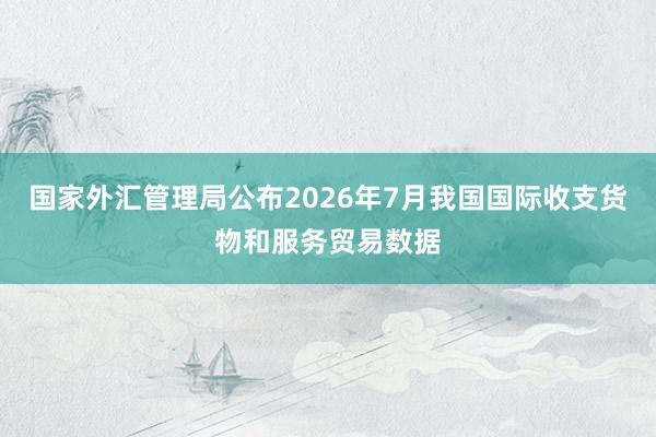 国家外汇管理局公布2026年7月我国国际收支货物和服务贸易数据