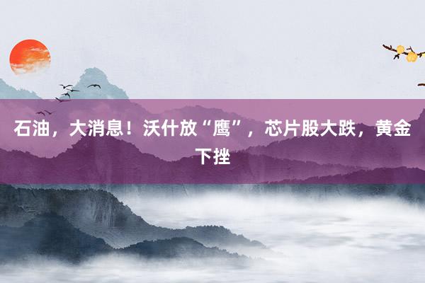 石油，大消息！沃什放“鹰”，芯片股大跌，黄金下挫