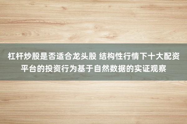 杠杆炒股是否适合龙头股 结构性行情下十大配资平台的投资行为基于自然数据的实证观察