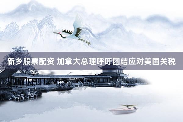 新乡股票配资 加拿大总理呼吁团结应对美国关税