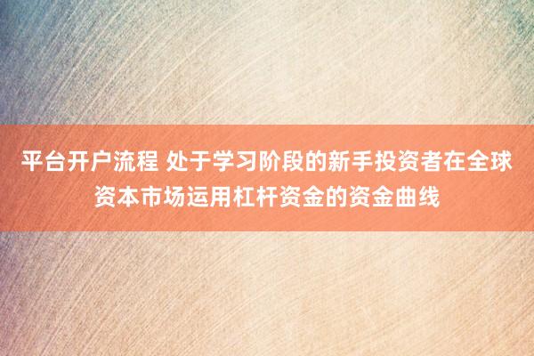 平台开户流程 处于学习阶段的新手投资者在全球资本市场运用杠杆资金的资金曲线
