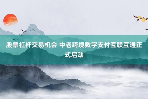 股票杠杆交易机会 中老跨境数字支付互联互通正式启动