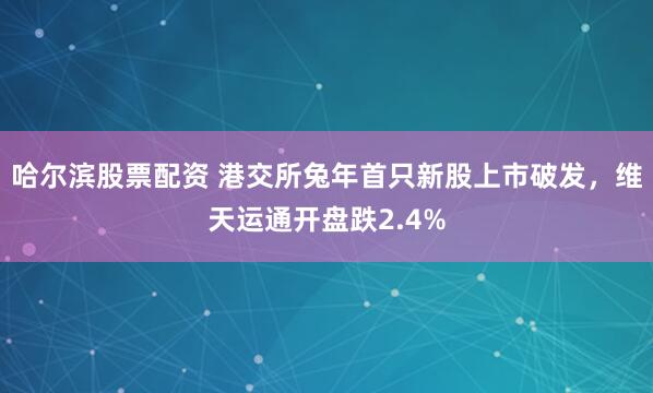 哈尔滨股票配资 港交所兔年首只新股上市破发，维天运通开盘跌2.4%