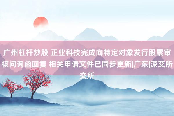 广州杠杆炒股 正业科技完成向特定对象发行股票审核问询函回复 相关申请文件已同步更新|广东|深交所