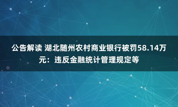 公告解读 湖北随州农村商业银行被罚58.14万元：违反金融统计管理规定等